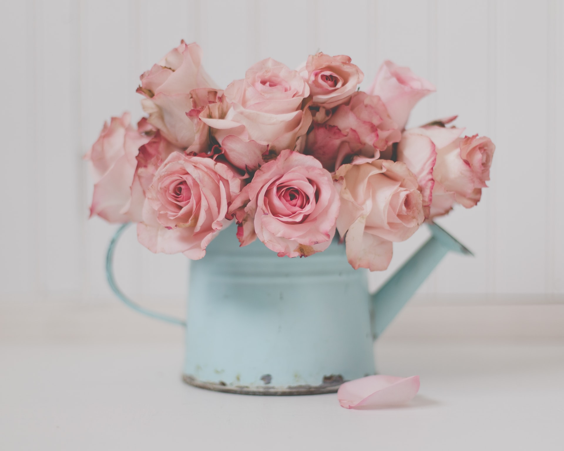 Valentine’s day – 14th February