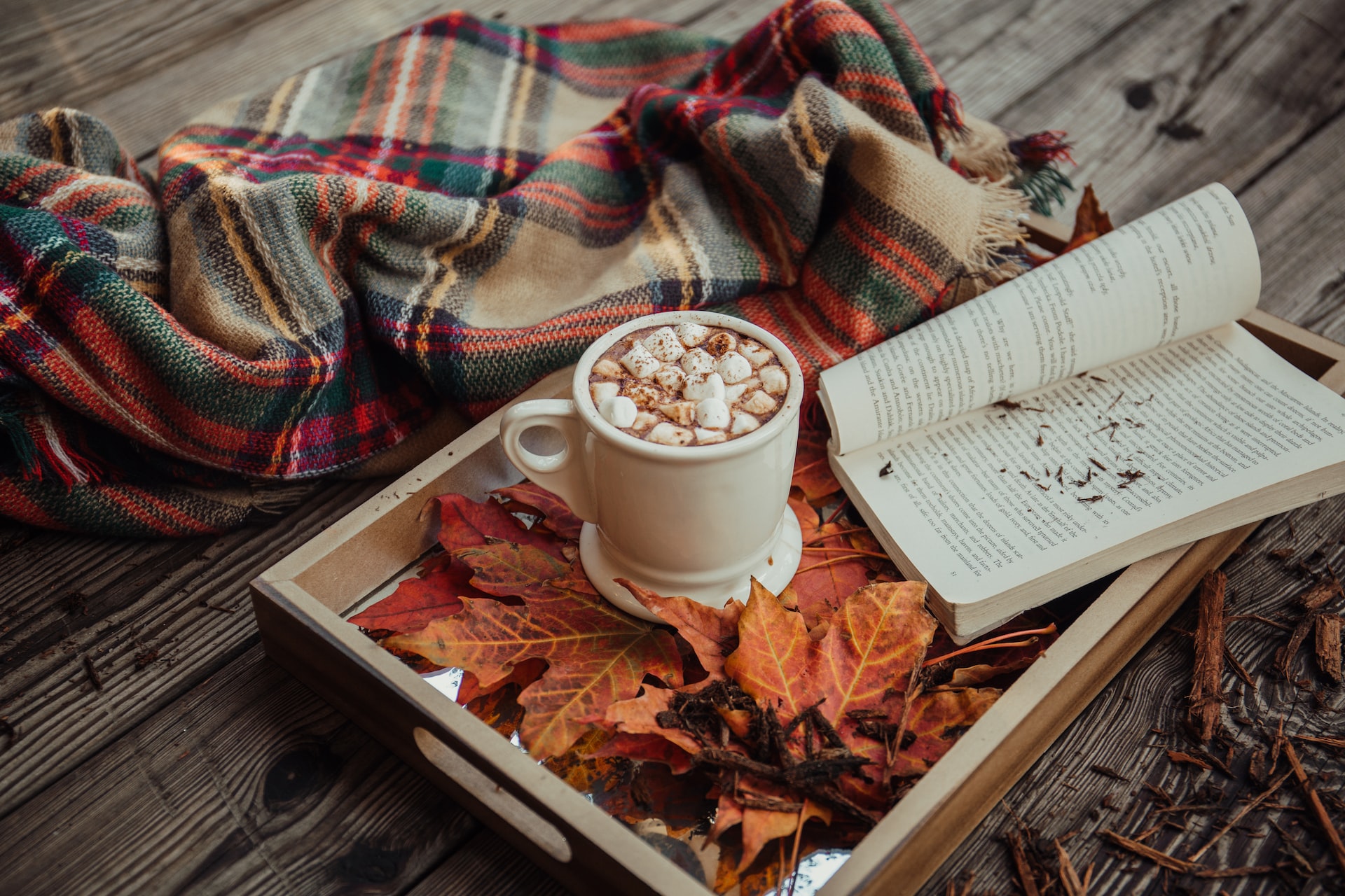 El otoño y el frío